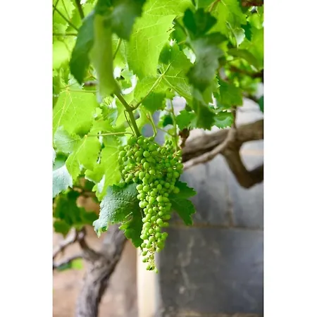 Ta'martin Gozo Holiday home *