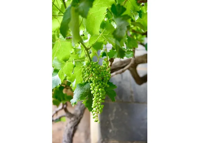 Ta'martin Gozo Dom wakacyjny *